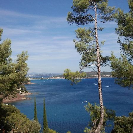 Hotel Sanary, Soleil Et Jardin - Renovation Hiver 2024-25 Luaran gambar