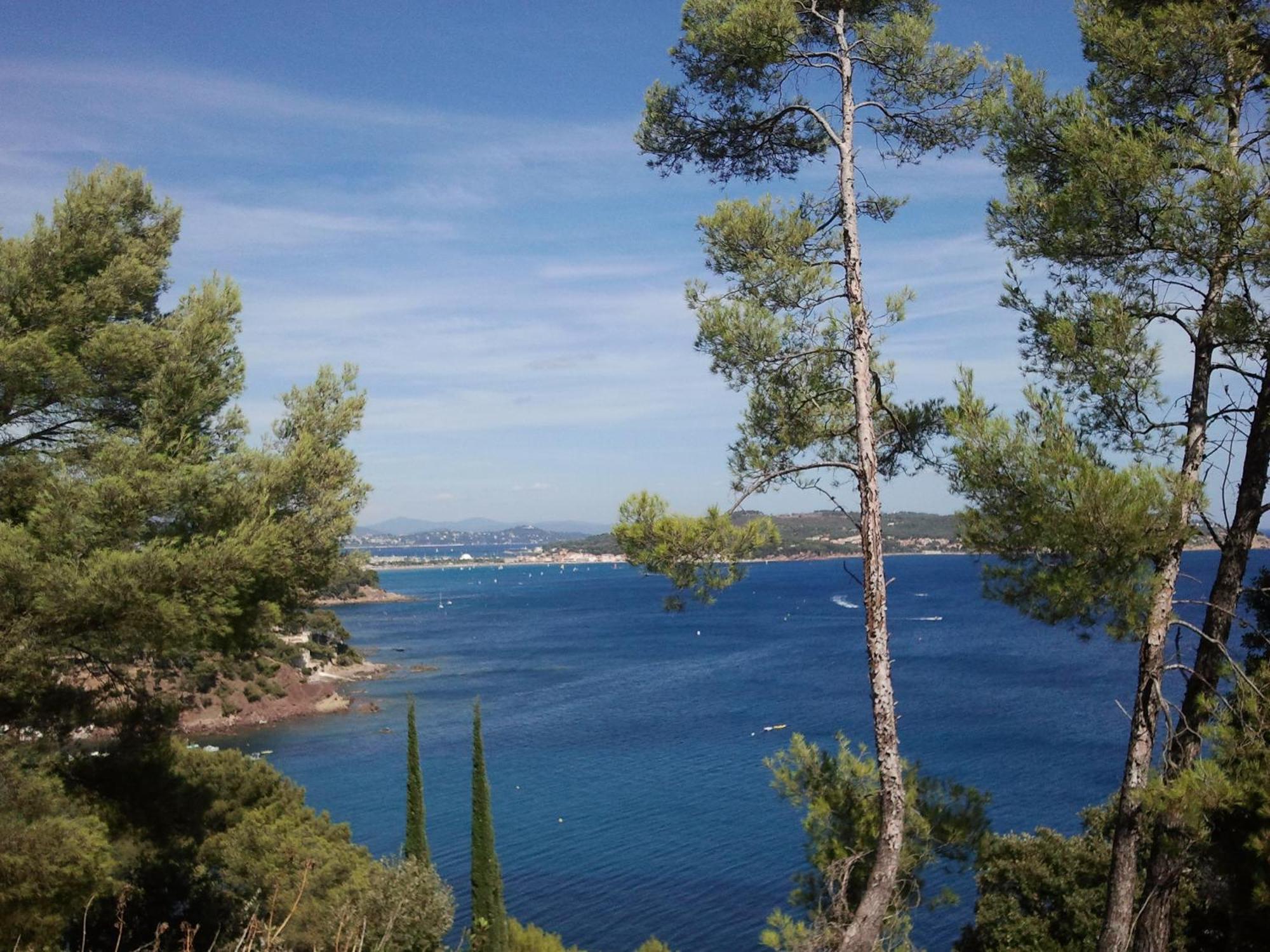 Hotel Sanary, Soleil Et Jardin - Renovation Hiver 2024-25 Luaran gambar